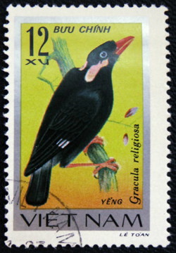 NFT Great Mynah with Serial  2 from HBAR NFT Collection  Philately