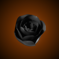 NFT Black Rose with Serial  2932 from HBAR NFT Collection  Fugitives Item Collection