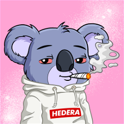 HBAR NFT Collection Koala Klub